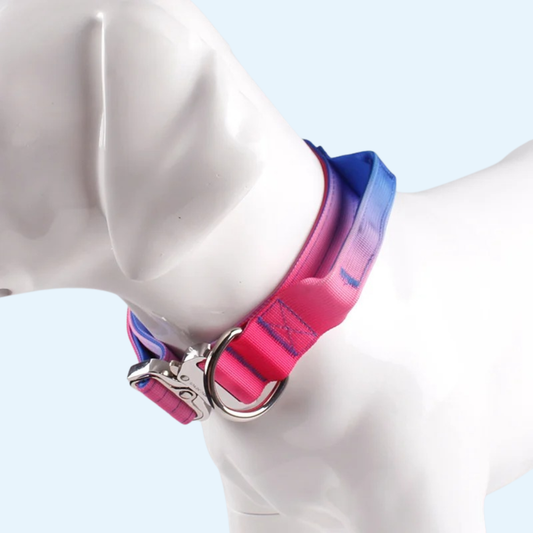 Taktisches farbenfrohes Hundehalsband