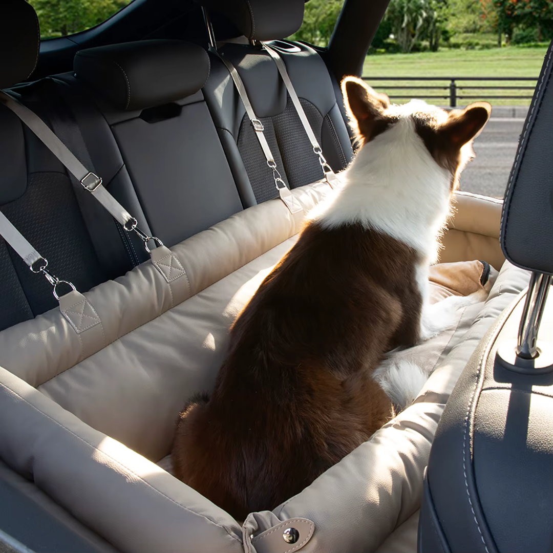 WUFF&Drive - Stressfrei & sicher Auto fahren mit deinem Hund