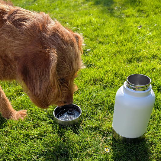 2-1 Wasserflasche mit integrierten Näpfen