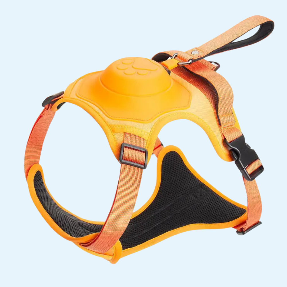 Hundegeschirr mit integrierter Leine