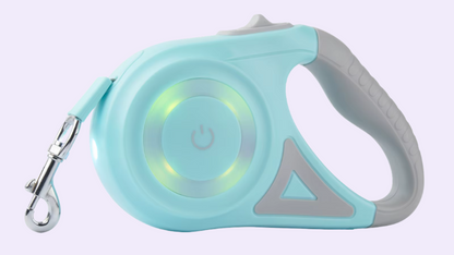 Wuff&Light - Leine mit LED Beleuchtung