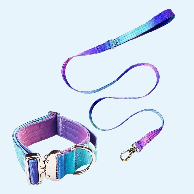 WUFF&Control - Taktisches Trainingsset für maximale Kontrolle - MyWuffy