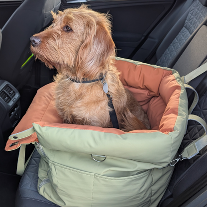 WUFF&Drive - Stressfrei & sicher Auto fahren mit deinem Hund