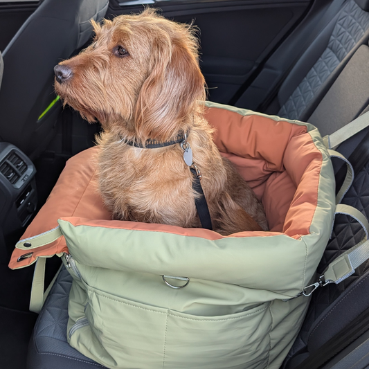 WUFF&Drive - Stressfrei & sicher Auto fahren mit deinem Hund