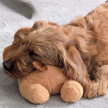 WUFF&Snuggle Herzschlag-Spielzeug – Beruhigende Hilfe bei Trennungsstress